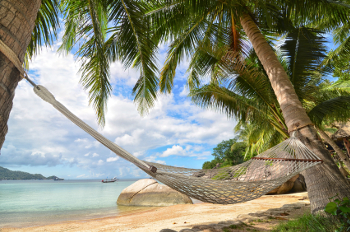 Travel Insurance